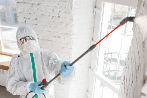 Best Post-Construction Mold Inspection  in Temesl Valley, CA