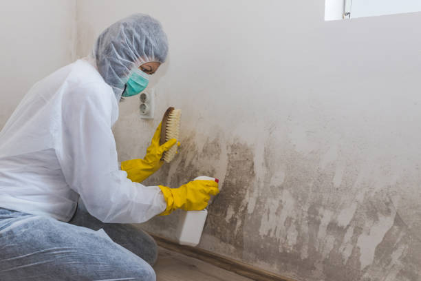 Best Residential Mold Inspection & Testing  in Temesl Valley, CA