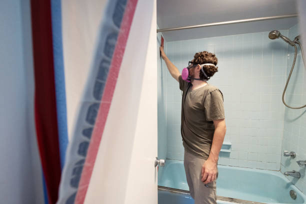 Best Attic Mold Removal  in Temesl Valley, CA