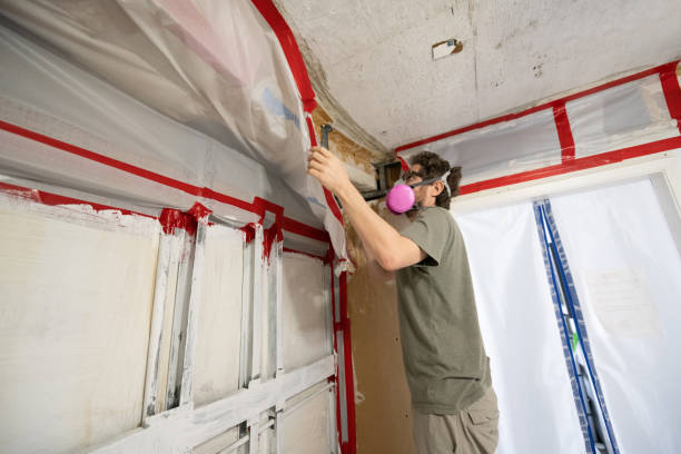 Best Mold Removal for HVAC Installations  in Temesl Valley, CA