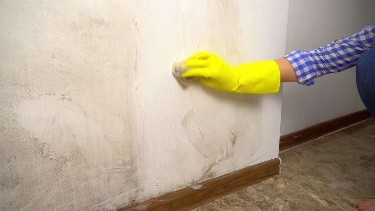 Best Asbestos and Lead Testing During Mold Inspection  in Temesl Valley, CA