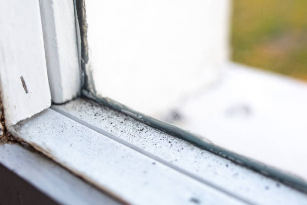Best Air Quality Testing for Mold Spores  in Temesl Valley, CA