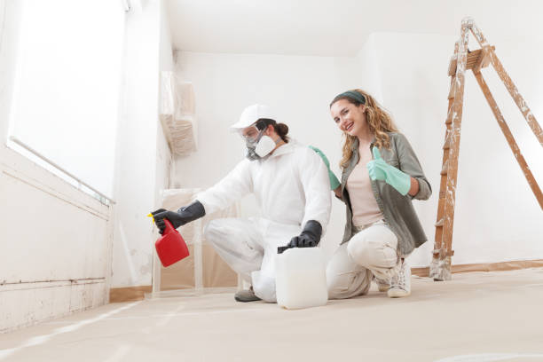 Best Indoor Air Quality Assessment  in Temesl Valley, CA