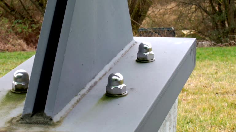 Best Forensic Mold Investigation  in Temesl Valley, CA